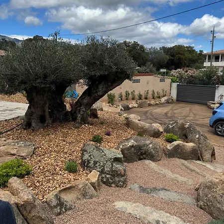 فيلة La Petite Maison Corse بورتو فيكشْيو