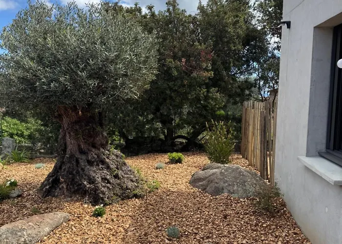 La Petite Maison Corse *