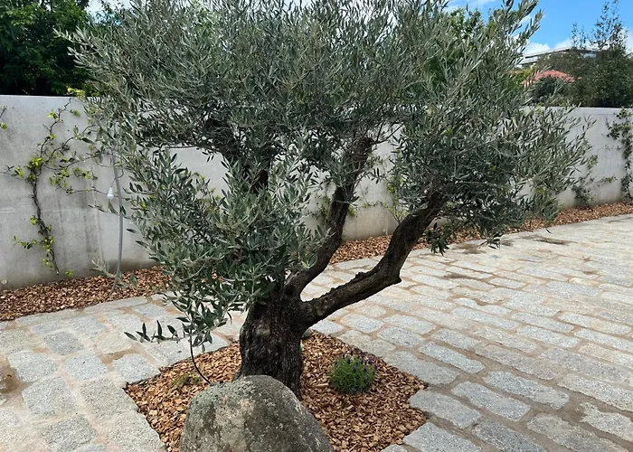 La Petite Maison Corse